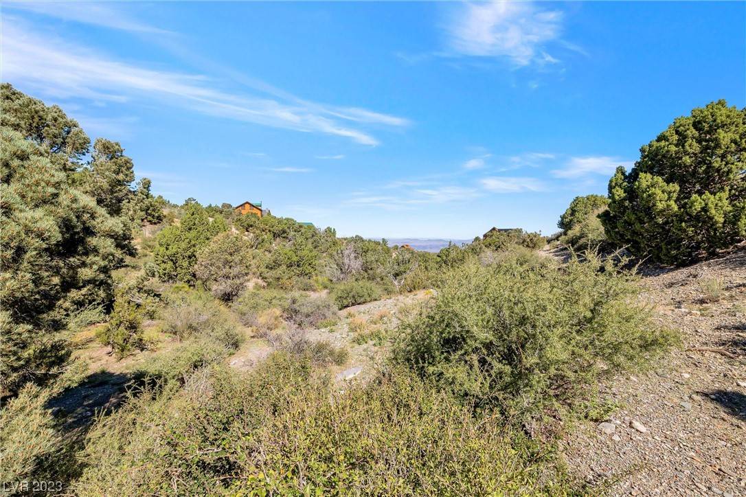 Cold Creek, NV 89124,91 Aspen Road 095-01-710-007