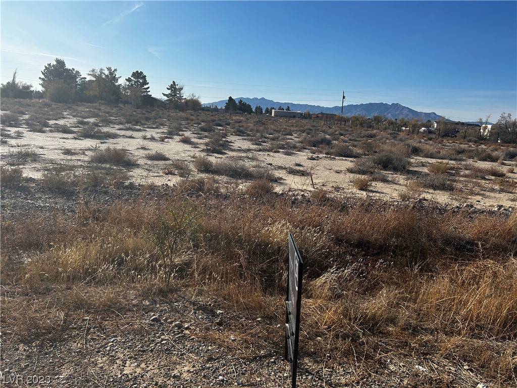 Pahrump, NV 89060,2351 W Pilot Place