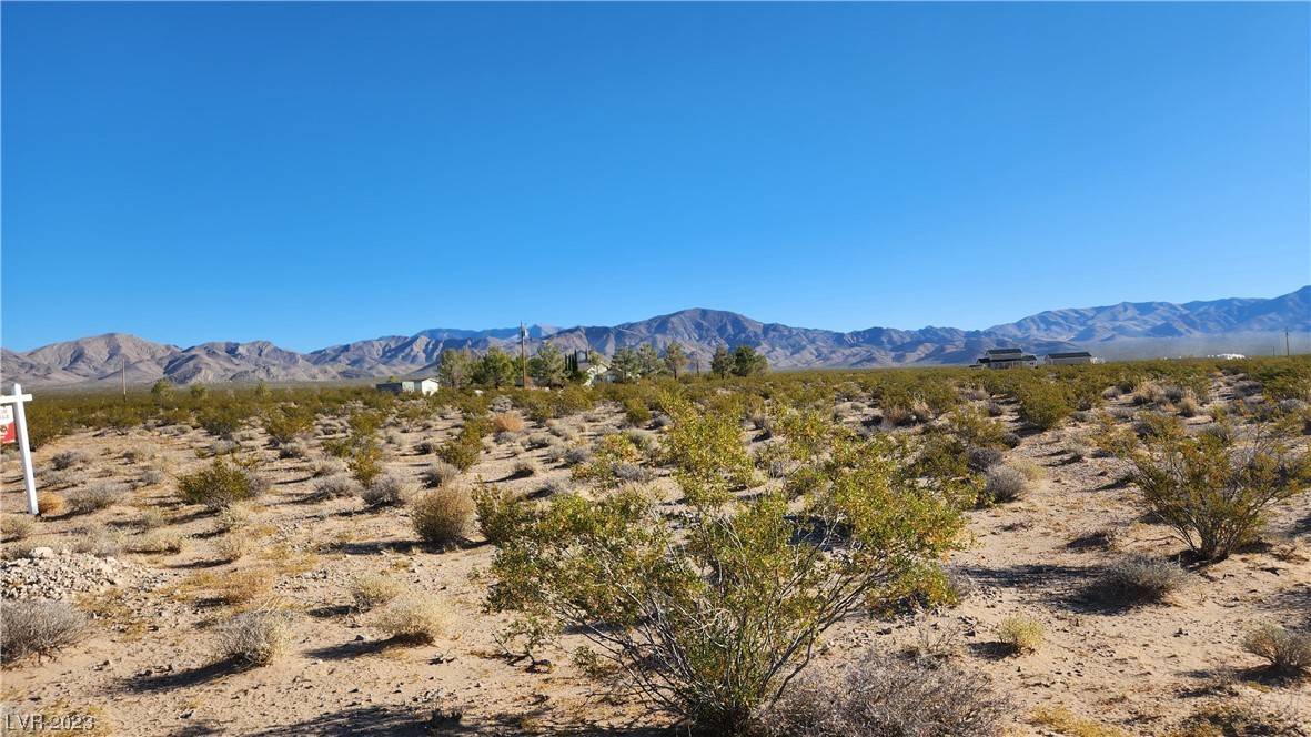 Sandy Valley, NV 89019,Paiute