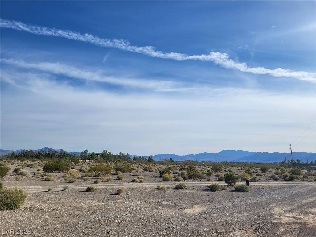 Sandy Valley, NV 89019,00 Gypsum Avenue