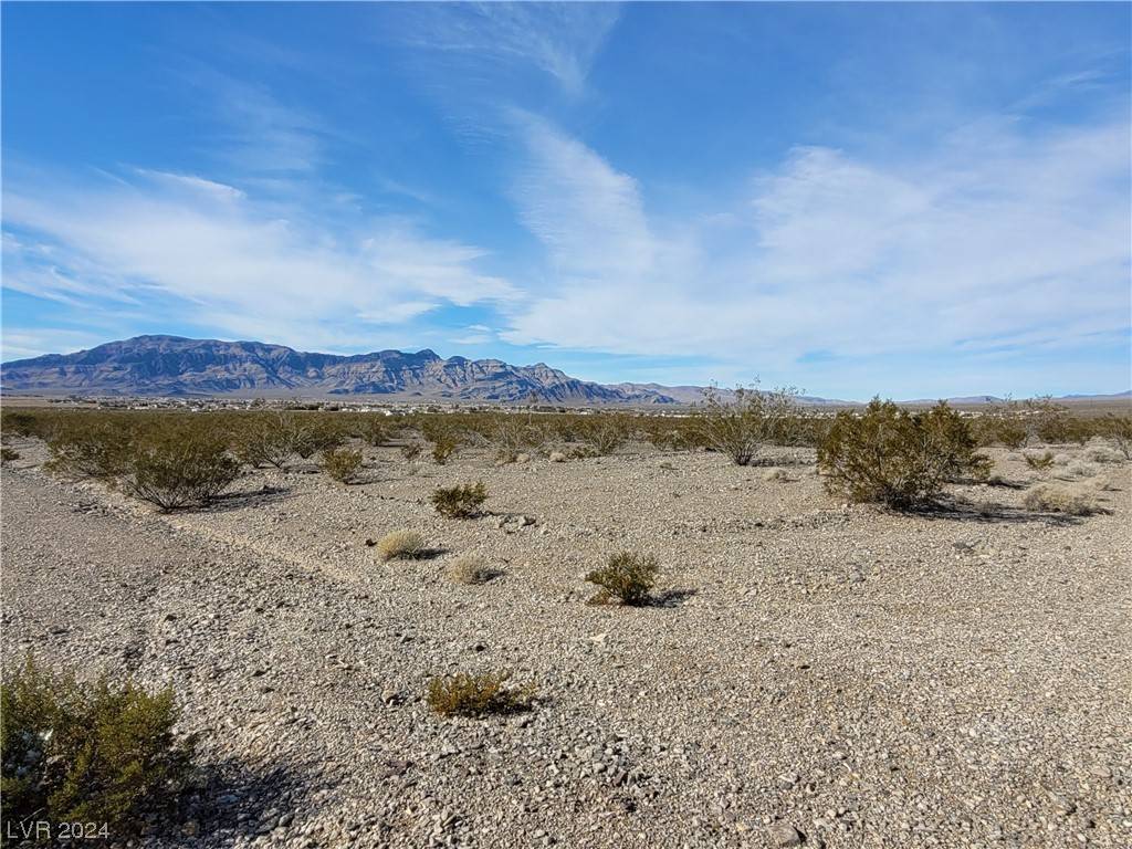 Pahrump, NV 89060,1380 E Pony Drive