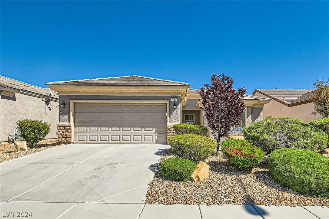 North Las Vegas, NV 89084,7752 Fruit Dove Street