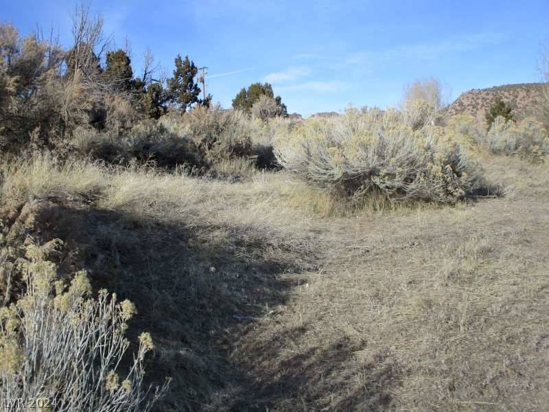 Pioche, NV 89043,Nevada Hwy 322 (30.15 Ac)