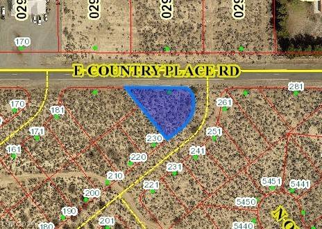 Pahrump, NV 89060,231 E Country Place Road