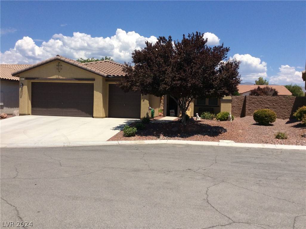 Pahrump, NV 89061,4911 Cielo Court