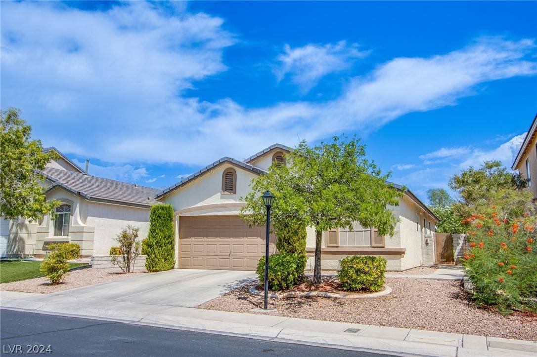 Las Vegas, NV 89143,8904 Medicine Wheel Avenue