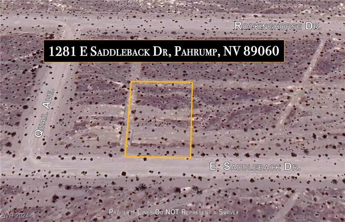 Pahrump, NV 89060,1281 E Saddleback Drive