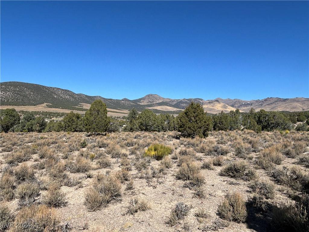 Mcgill, NV 89301,East Creek