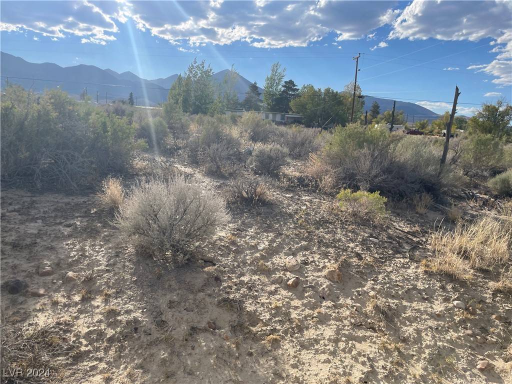 Other, NV 89311,255 S Baker Avenue