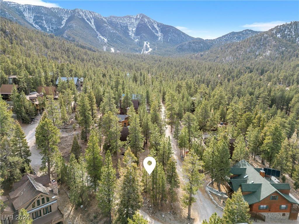 Mount Charleston, NV 89124,2194 Via Spes Nostra Street