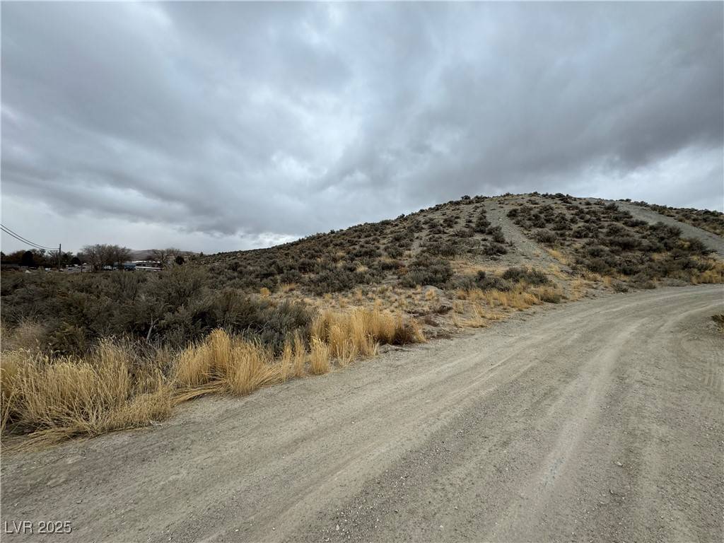 Elko, NV 89801,TBD Lamoille Highway