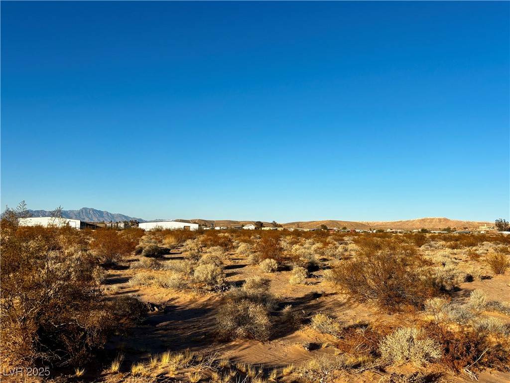 Overton, NV 89040,Lou