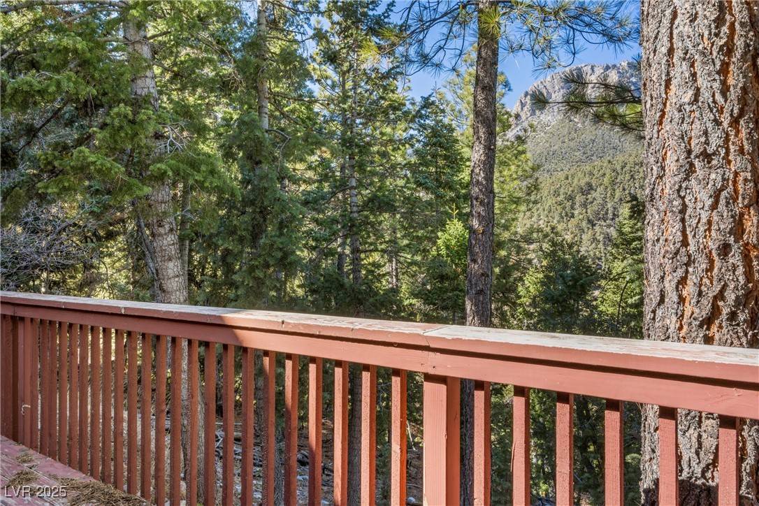 Mount Charleston, NV 89124,4154 Matterhorn Way