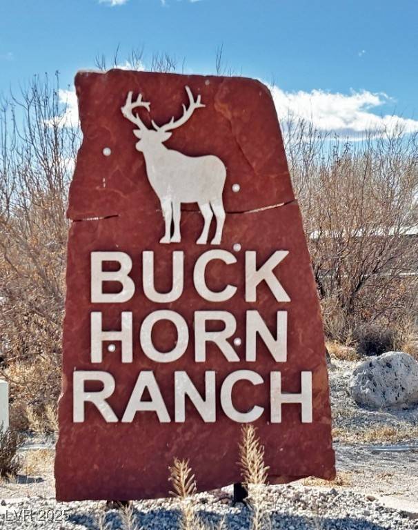 Alamo, NV 89025,2100 Buckhorn Road