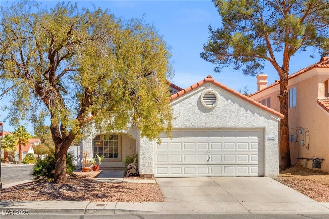 Las Vegas, NV 89117,3016 Reef View Street