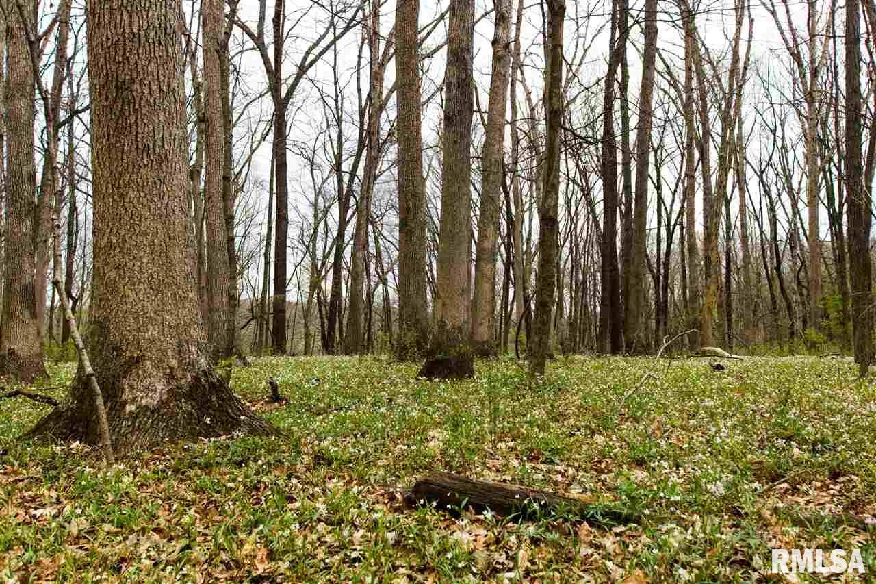 Morton, IL 61550,LOT 211 Mossy Trail
