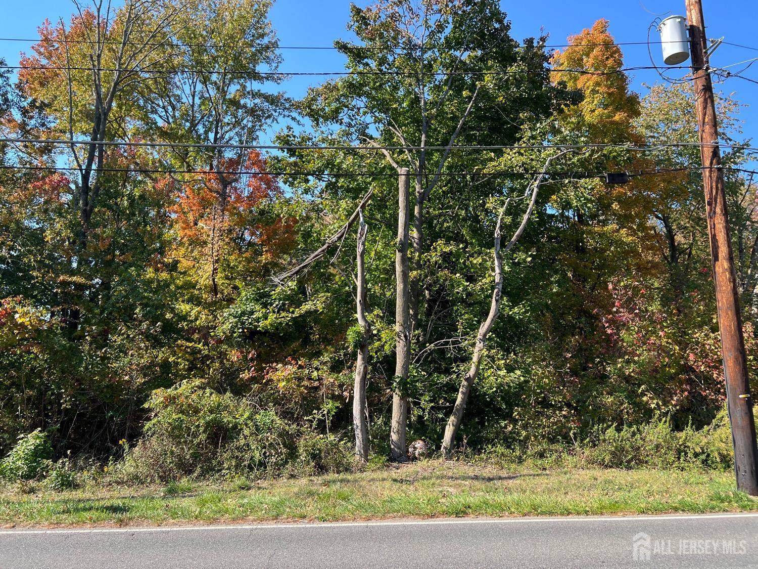 South Brunswick, NJ 08852,586 Ridge RD