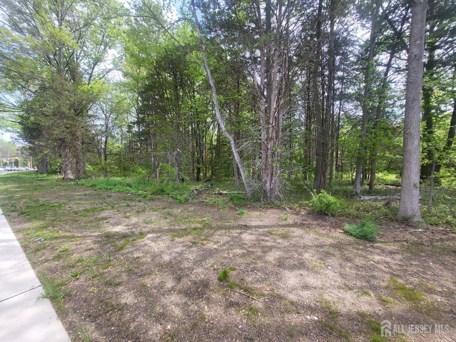 Monroe, NJ 08831,380-390 Mounts Mills RD