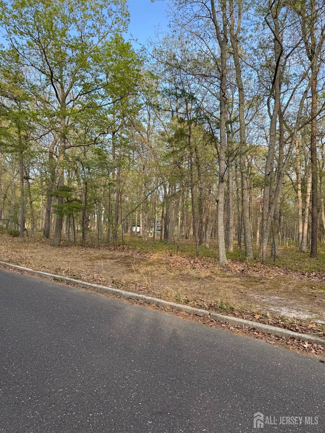 Shamong, NJ 08088,1 Red Onion RD
