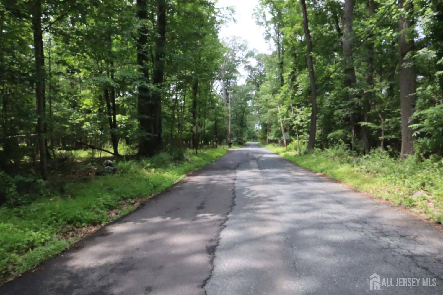 East Amwell, NJ 08551,181 Mountain RD