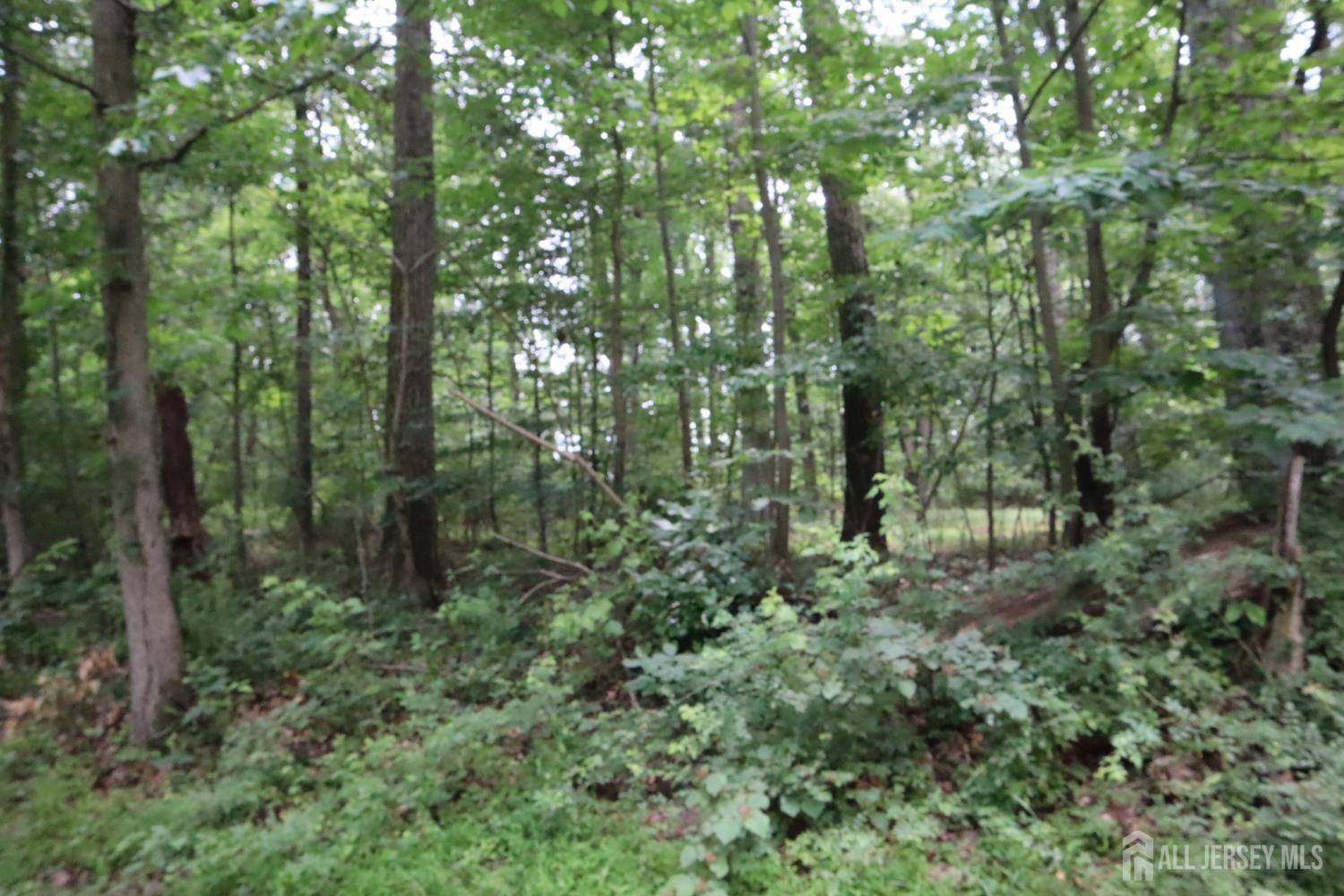 East Amwell, NJ 08551,181 Mountain RD
