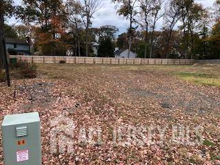 Edison, NJ 08820,64 RICHARD RD