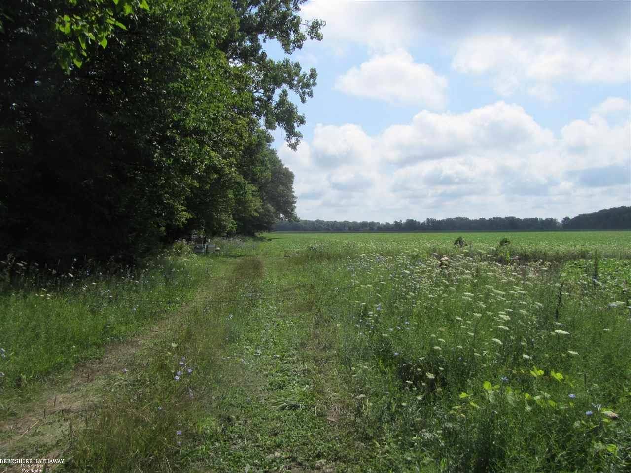 Armada, MI 48005,0 Capac Road