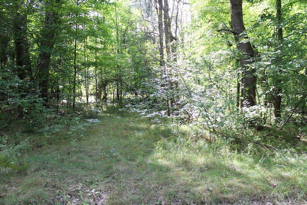 Farwell, MI 48622,Lot 1020 Teaberry Lane