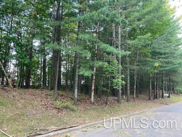 Marquette, MI 49855,Elder Drive lot 11