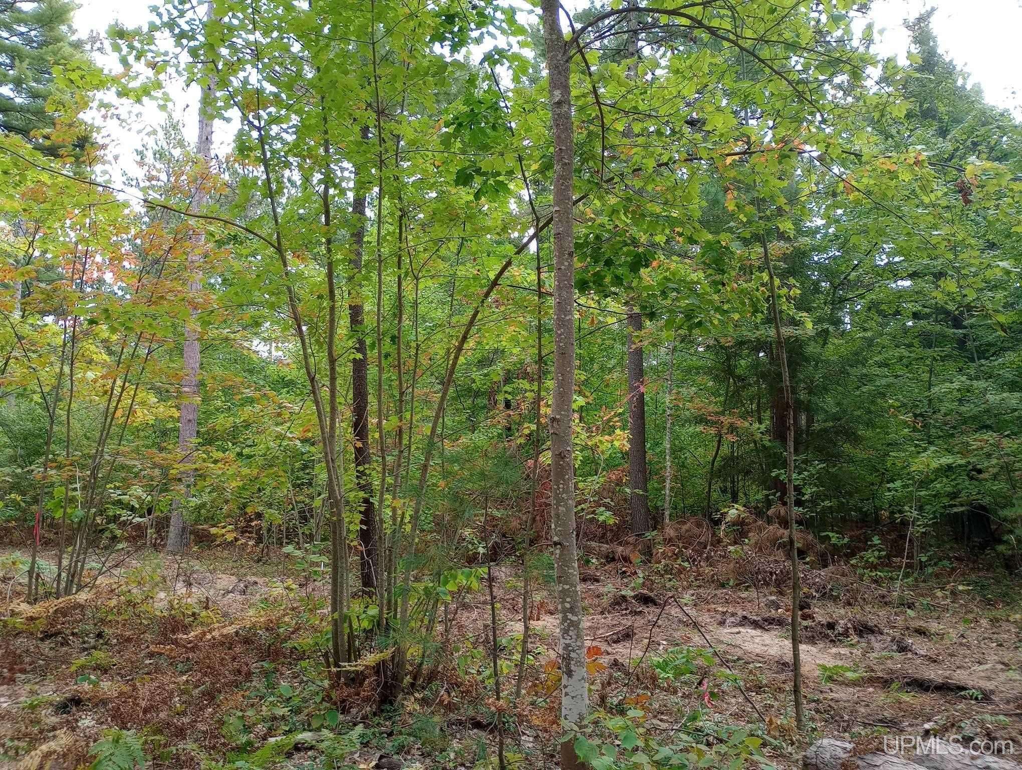 Marquette, MI 49855,TBD White Pine (Lot 4) Way