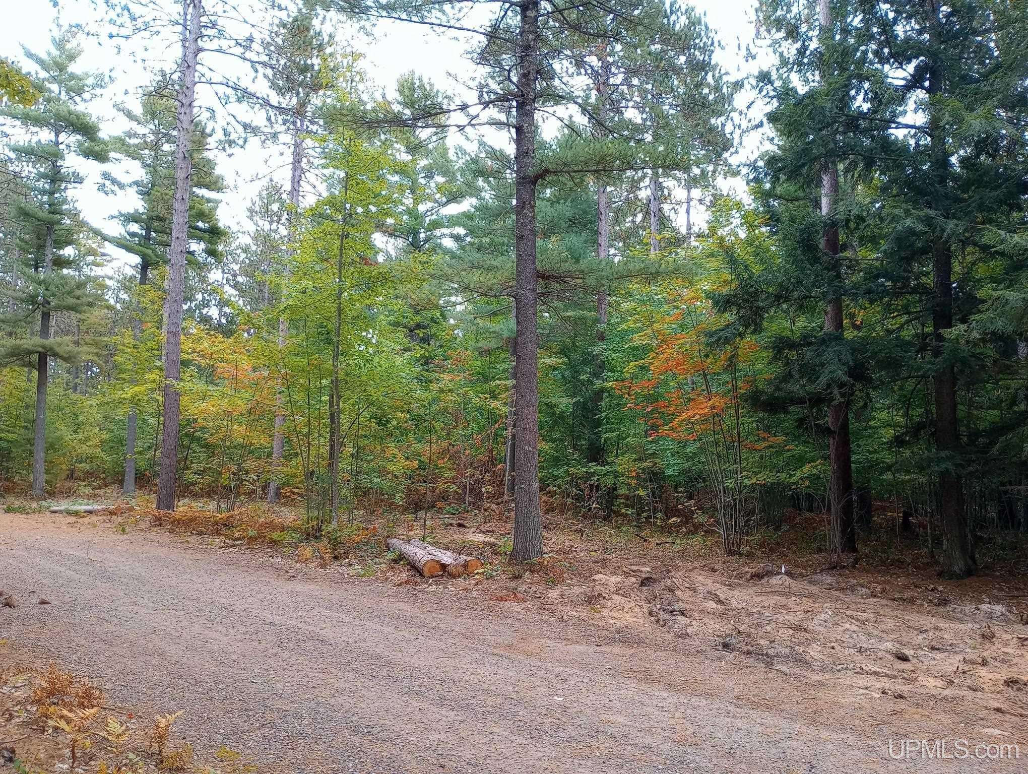 Marquette, MI 49855,TBD White Pine (Lot 4) Way