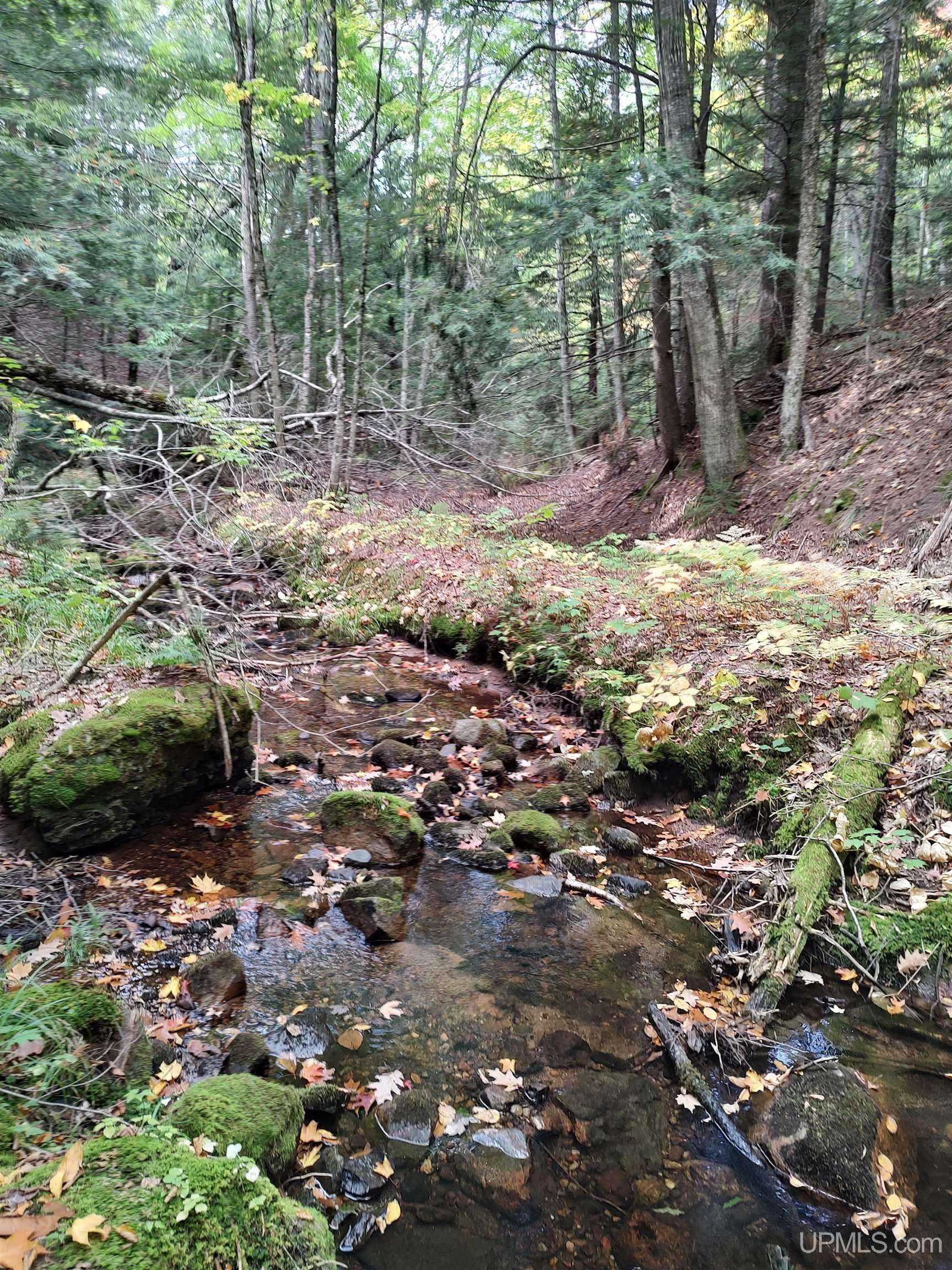 Marquette, MI 49855,160 Acres Lost Creek Road