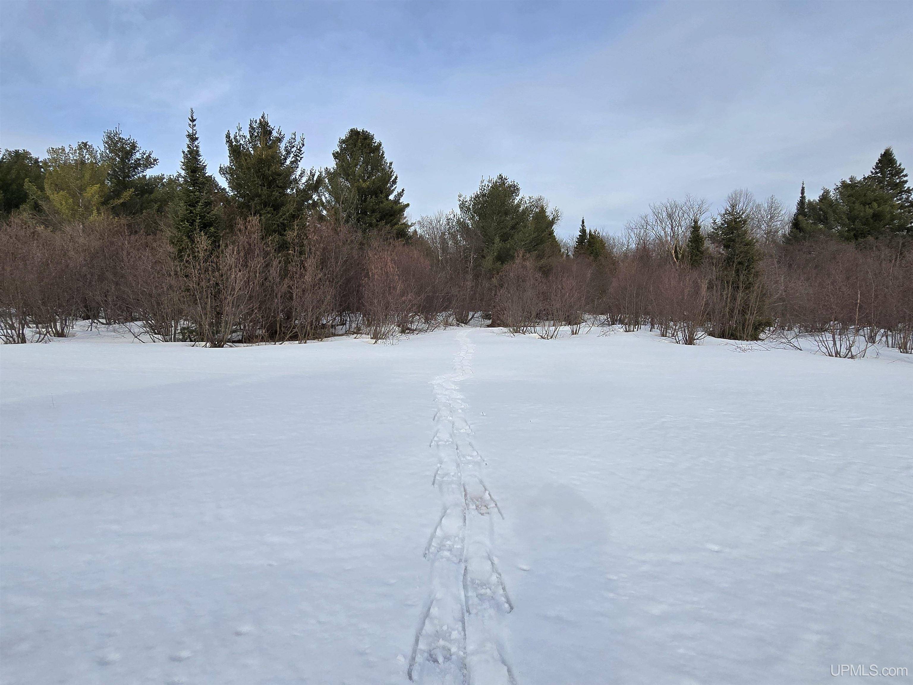 Greenland, MI 49929,TBD M 38 Highway