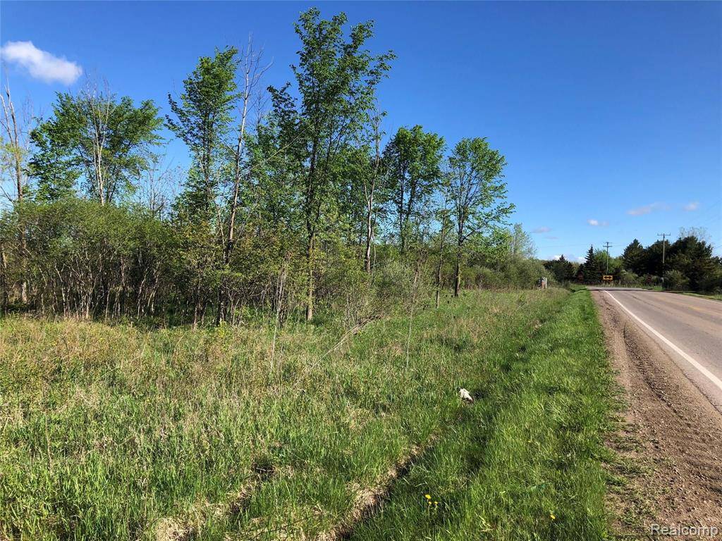 Imlay City, MI 48444,Parcel E GRAHAM Road