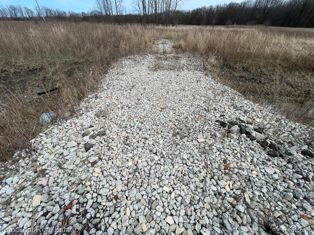Otter Lake, MI 48464,13176 HENDERSON Road