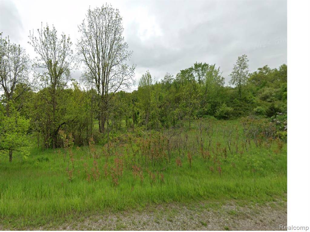 White Lake, MI 48386 1123,9011 WHITE LAKE Road