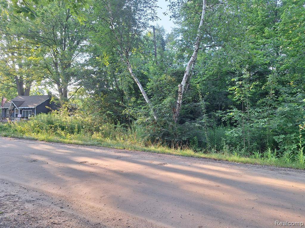 Lexington, MI 48450 9773,000 Birchwood Road