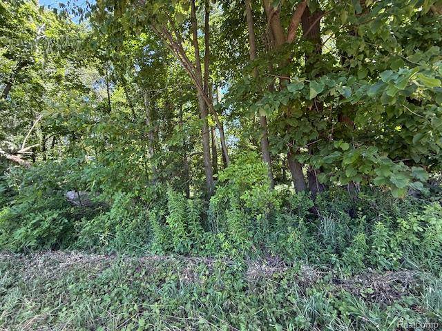 Brown City, MI 48416,000 Bentley Road
