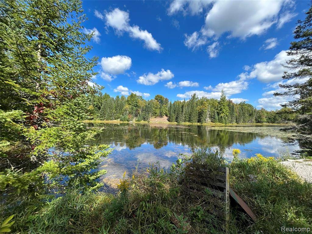 Lupton, MI 48635,4178 E North Rose Circle