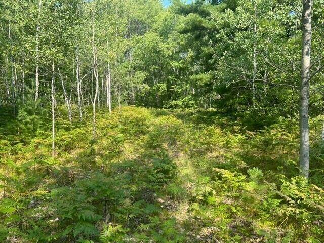 Lake City, MI 49651,NN W Erdman Road