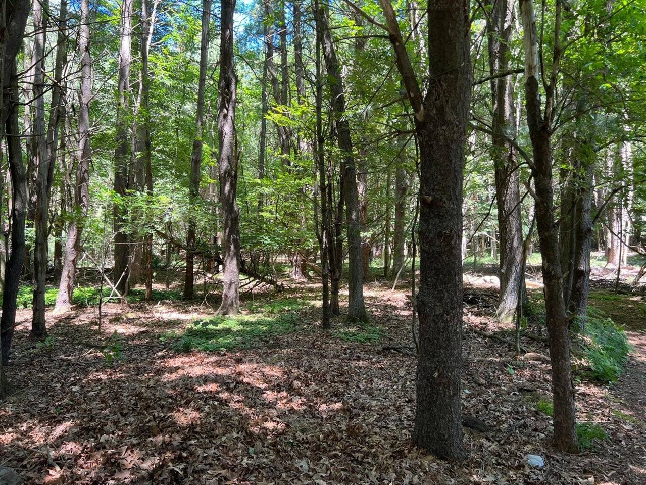 Ludington, MI 49431,W Cambridge Drive