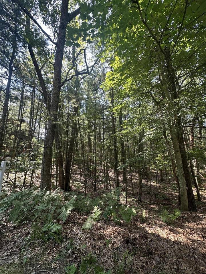 Pentwater, MI 49449,Crow Lane