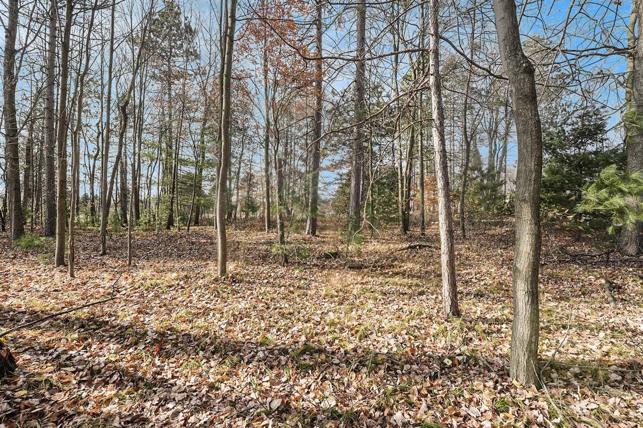 Stanwood, MI 49346,12215 Lila Court