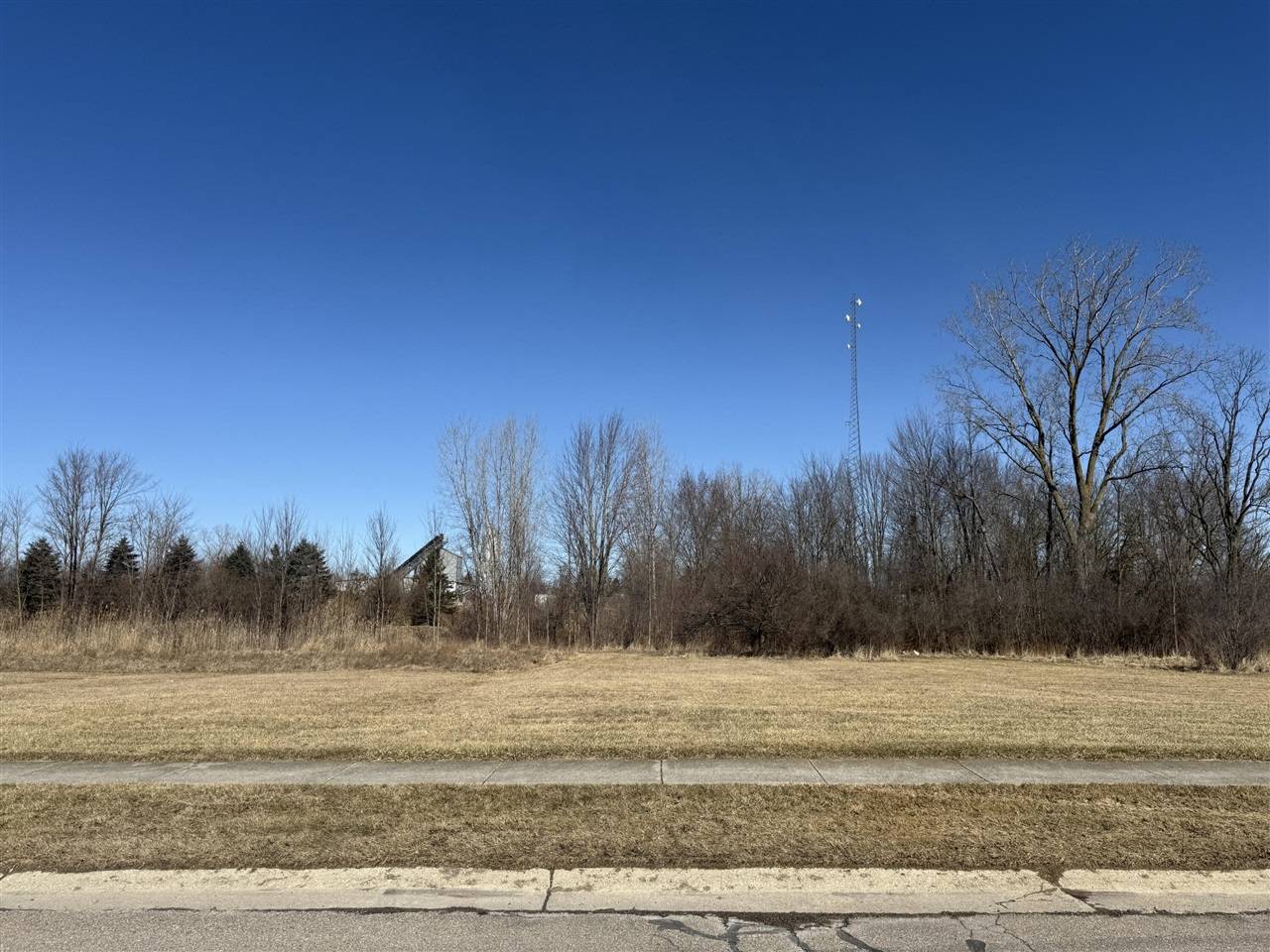 Capac, MI 48014,Orchard Street
