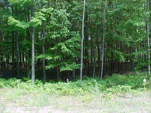 Stanwood, MI 49346-8799,6232 Abbey Lane