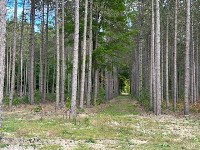 Traverse City, MI 49685,Lot 20 Cascade Trail