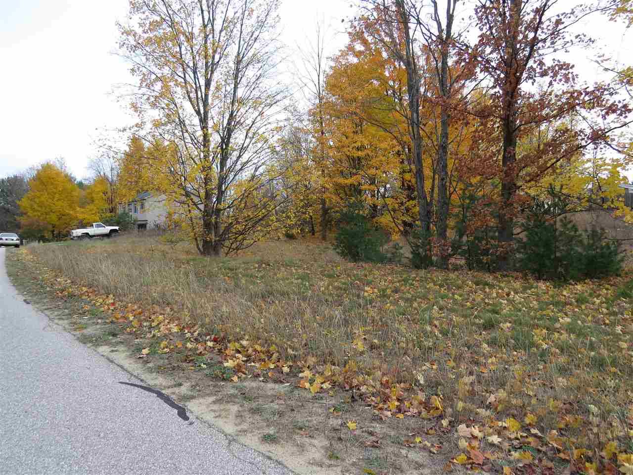 Kingsley, MI 49649,Lot 66 Eden Street
