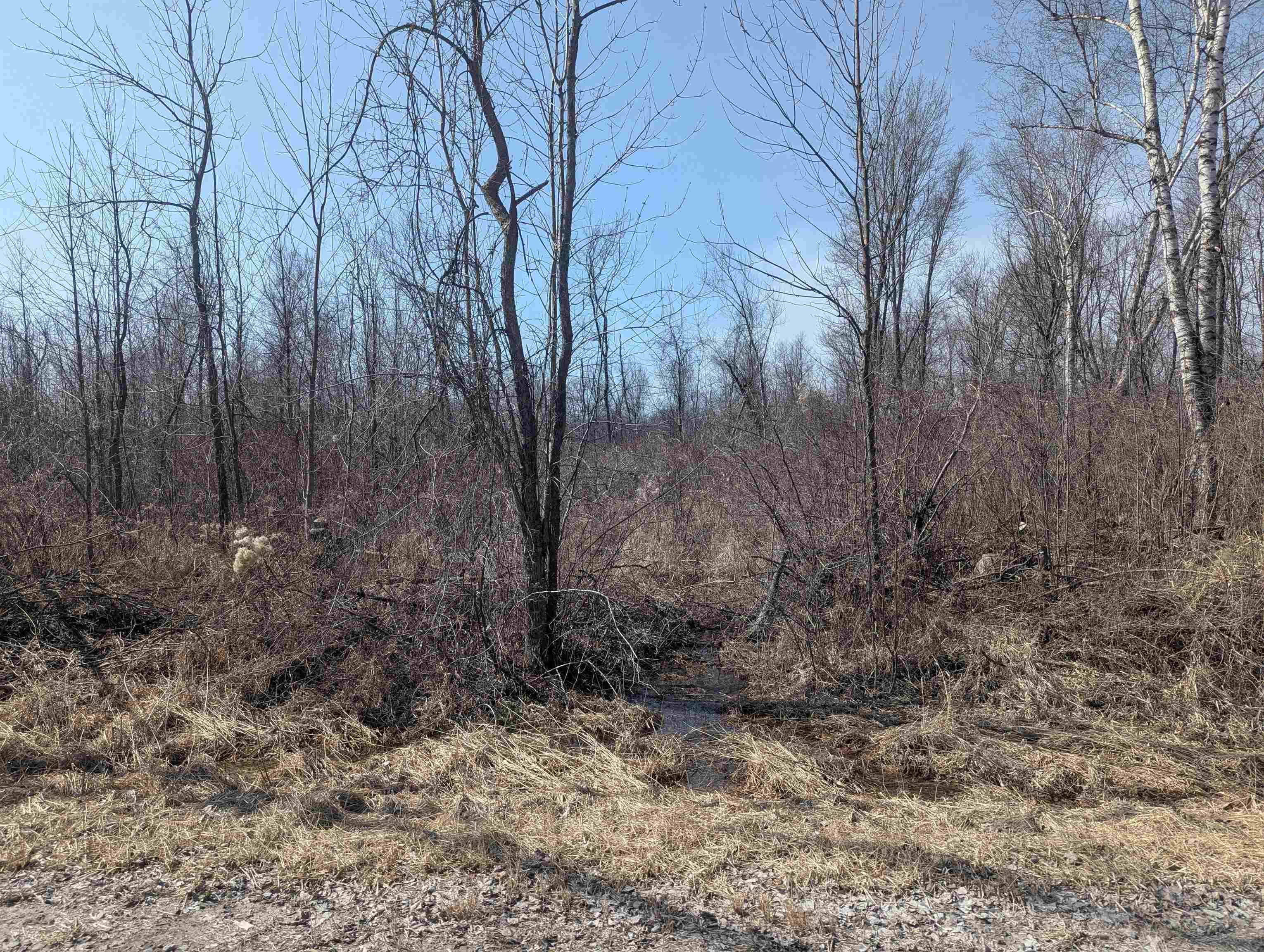 Au Gres, MI 48703,N/A Dreyer Road
