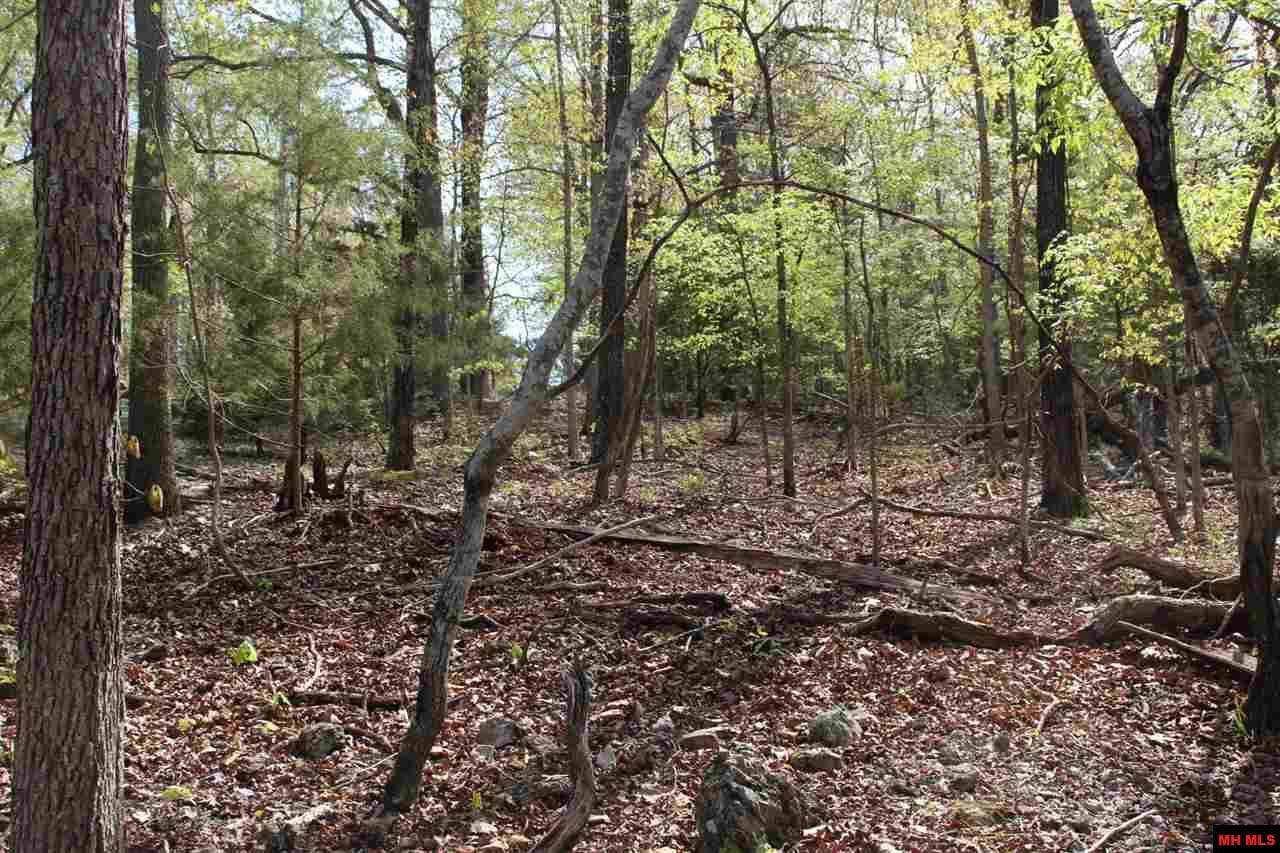 Bull Shoals, AR 72619,SHADY LANE