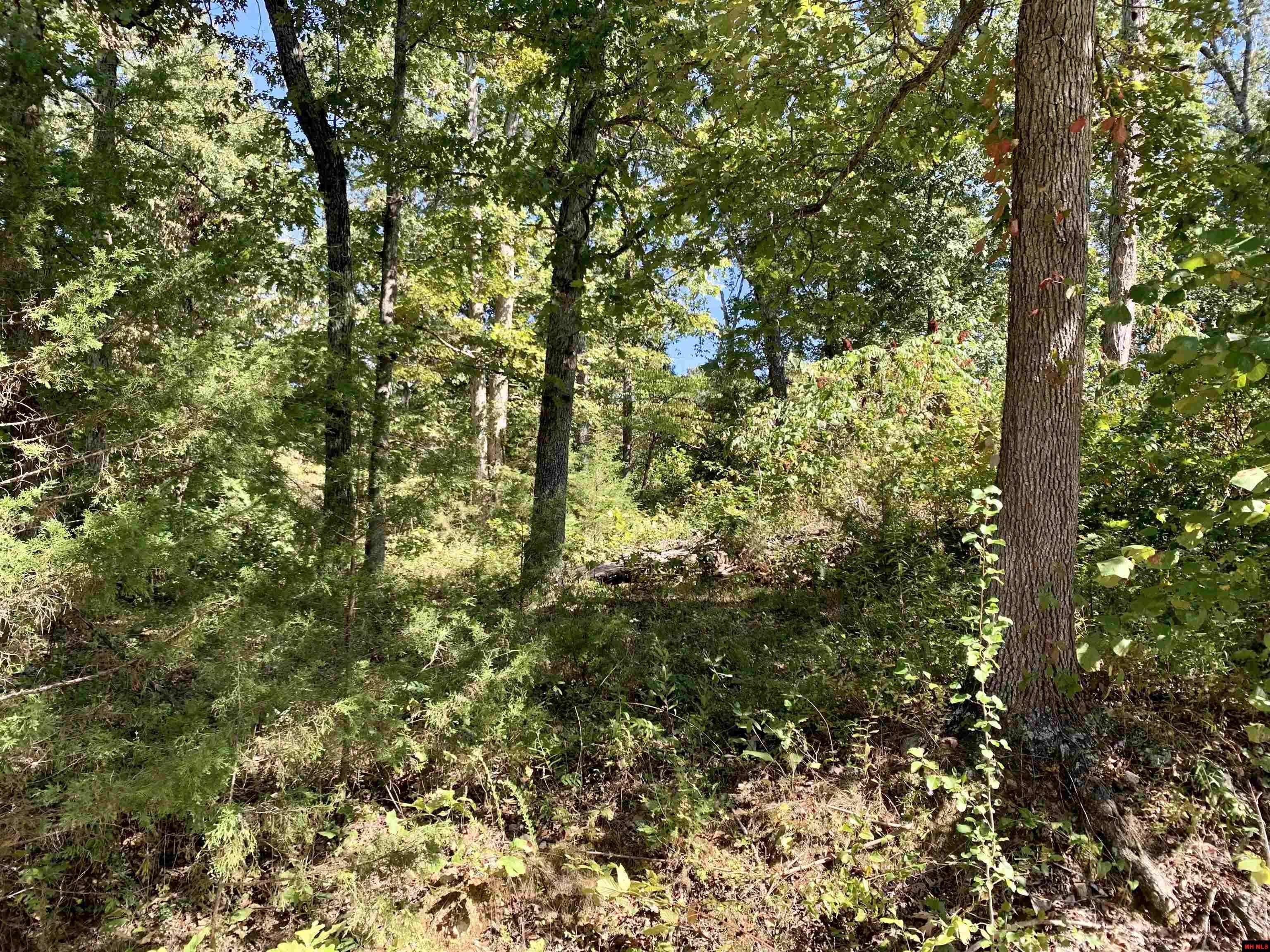 Mountain Home, AR 72653,Lot 7 KIERRA PLACE